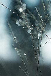 《战地6》B测首日已有透视外挂 制作人：已封号